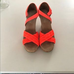 Tom’s Coral Wedges